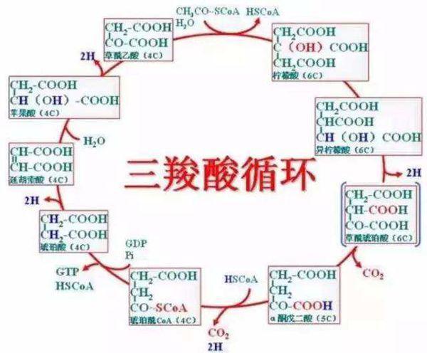 搜狗问问