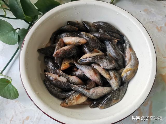 老头鱼东北家常做法，东北特色农家菜，酱香味浓，下酒下饭都不错